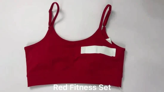 Completi di abbigliamento sportivo Abbigliamento sportivo da donna Completo da yoga Abbigliamento da allenamento in 2 pezzi Set di reggiseno sportivo e pantaloncini Set di fitness da palestra